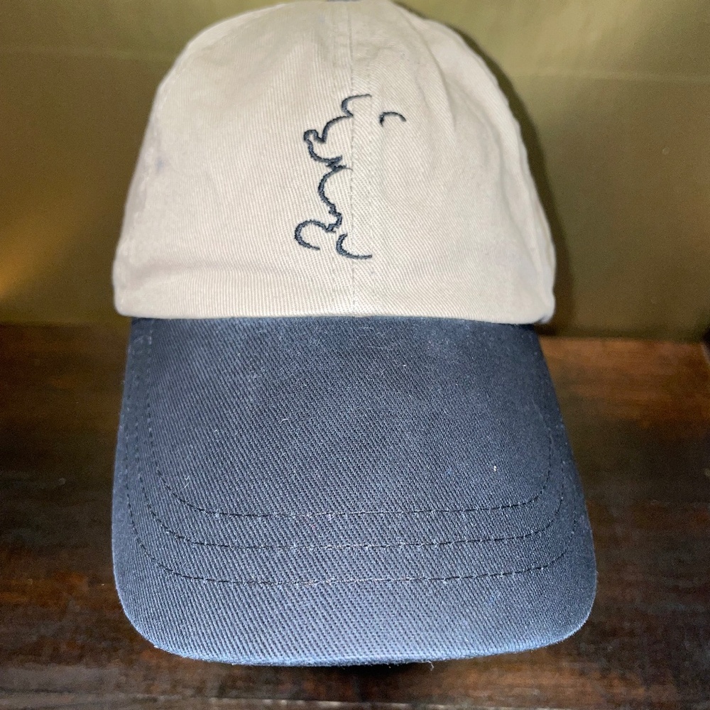 Walt Disney World disneyInstitute.com Adjustable Cap Hat Mickey Mouse‎